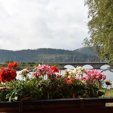 Am Schluchsee